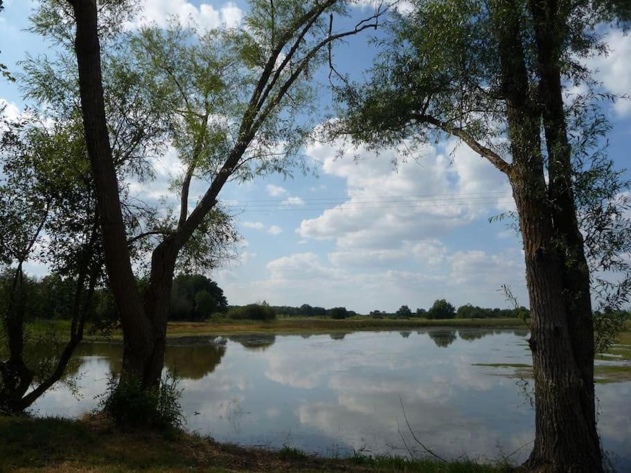 Le Prieure De Loups Bed & Breakfast Saint-Michel-en-Brenne Exterior photo